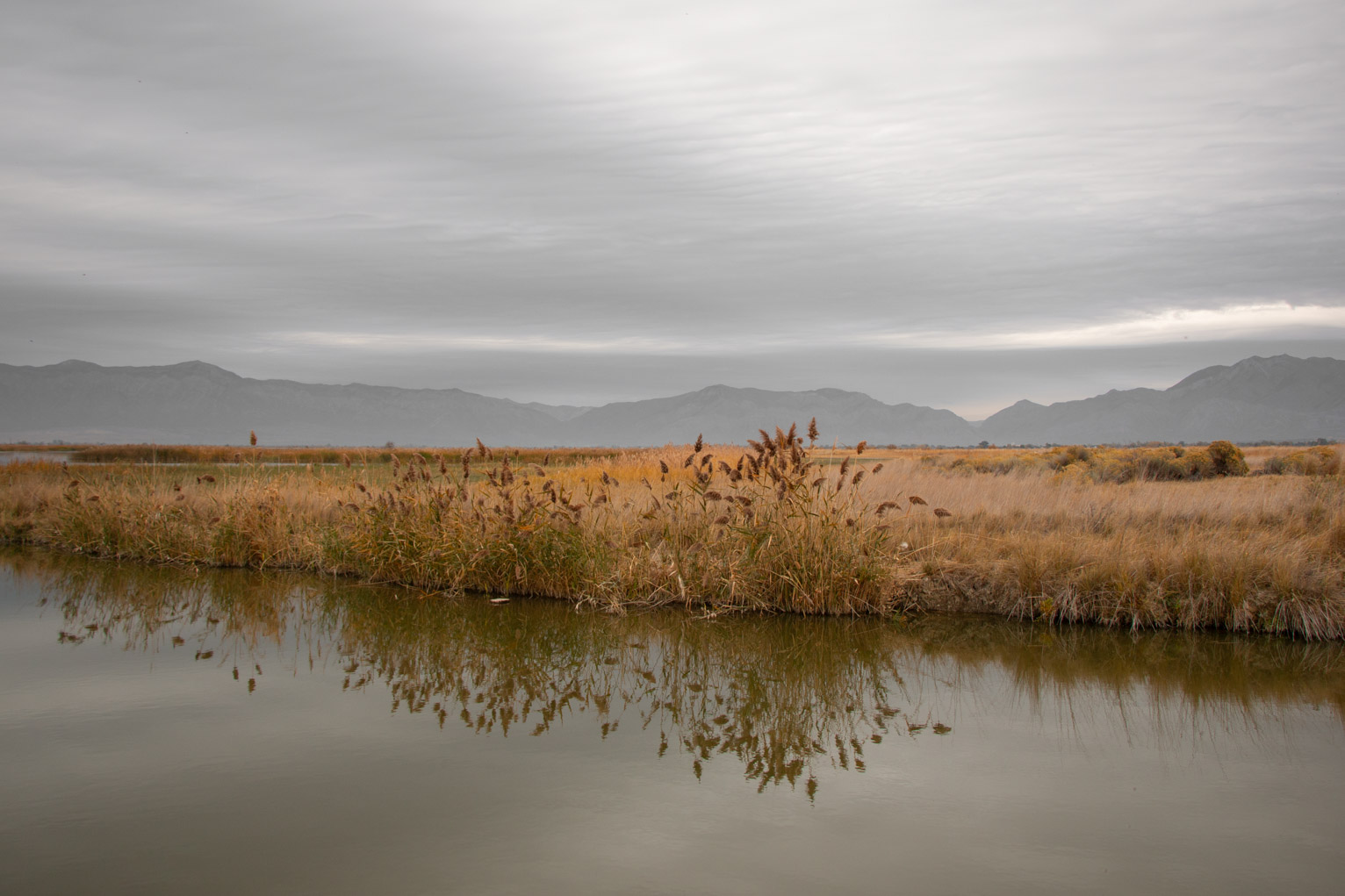 river bank on a cloudy day with mountains in the distance